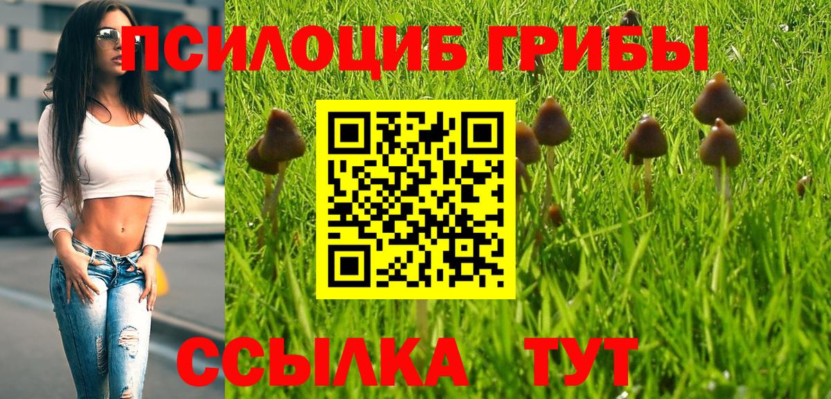 Галлюциногенные грибы GOLDEN TEACHER  Галлюциногенные грибы Psilocybe  Сочи  Вход с VPN 
